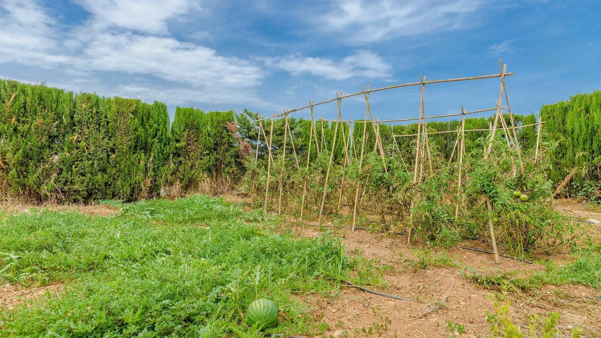 Villa Son Sabater  Sa Pobla 0*,  Spanien